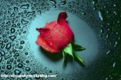 �  � par torres-joe